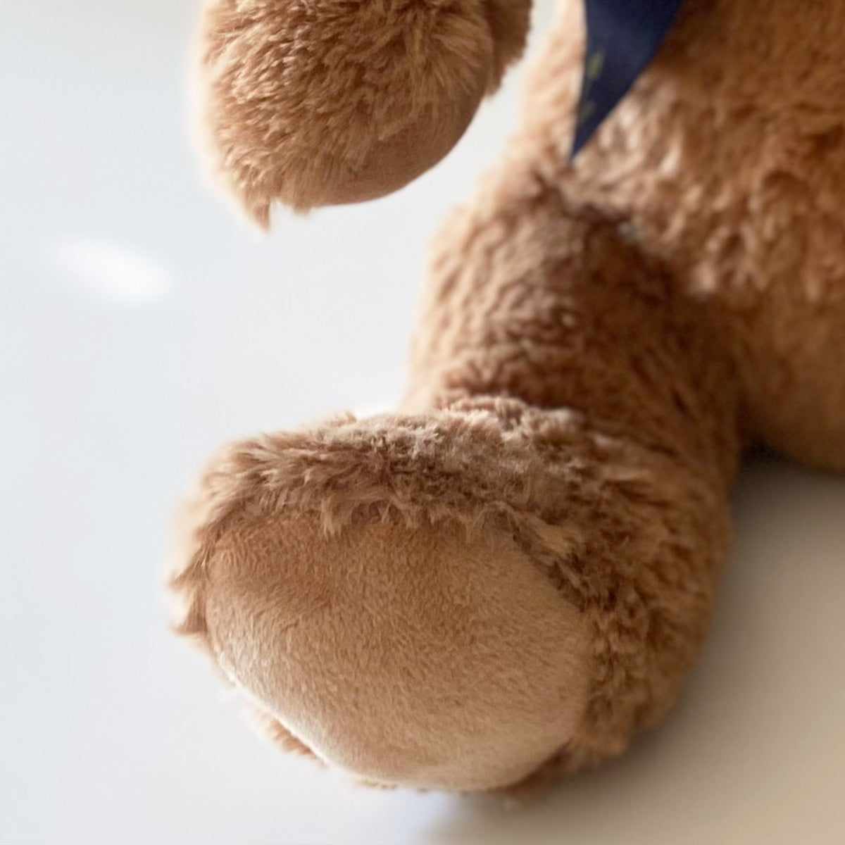 Ashes Keepsake Memory Brown Bear