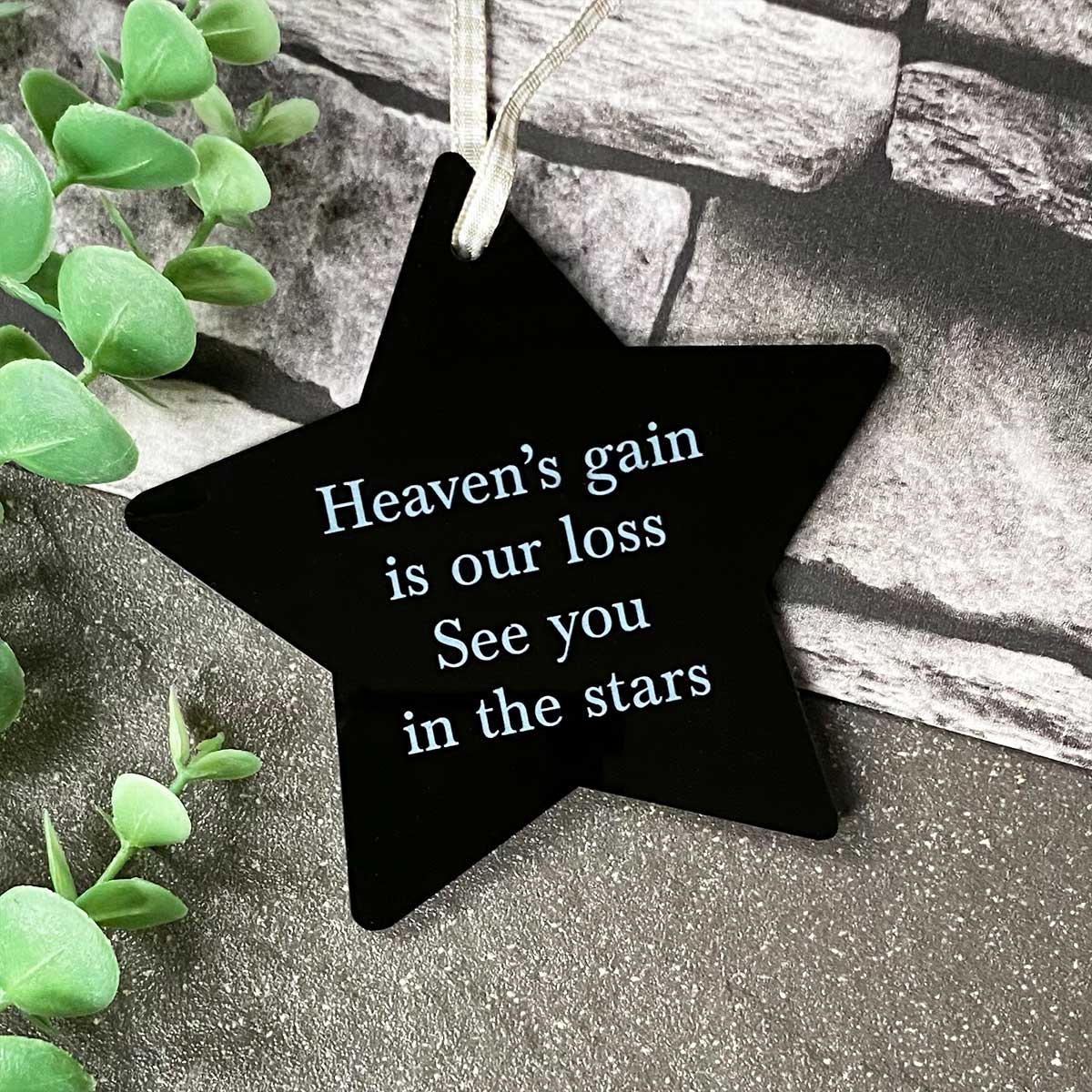 Acrylic Memorial Star Hanging Decoration for Pets