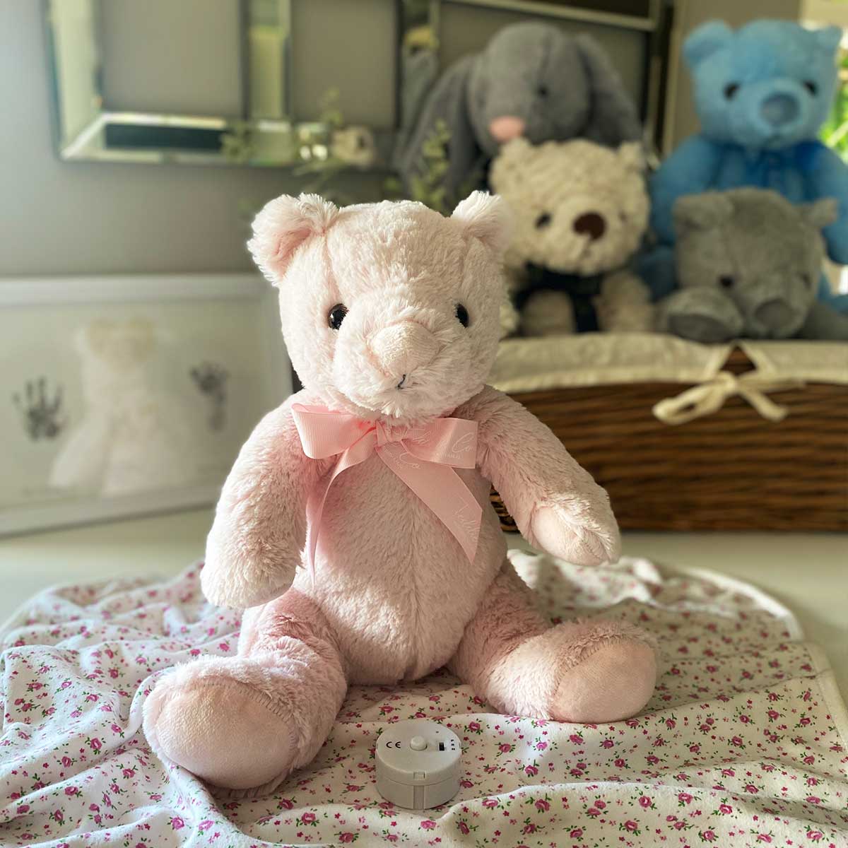 Record-A-Voice Pink Teddy Bear