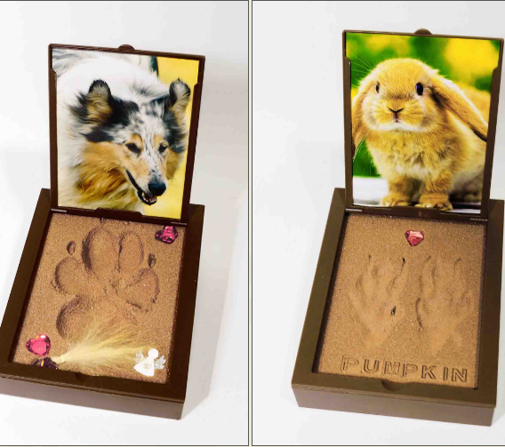 Pawprint Kit - Two Sizes