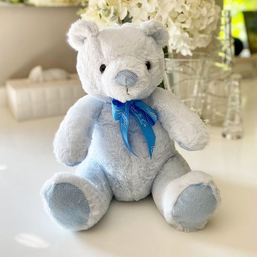 Ashes Keepsake Memory Blue Bear