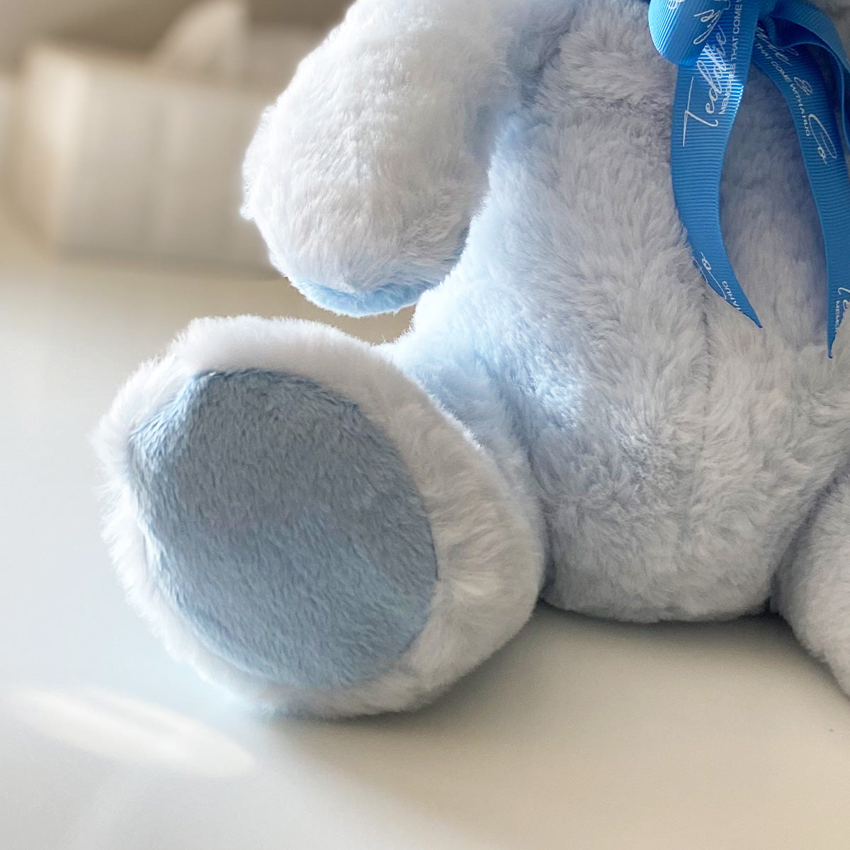 Ashes Keepsake Memory Blue Bear