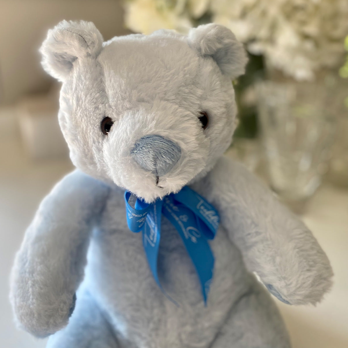 Ashes Keepsake Memory Blue Bear