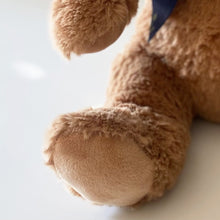 Load image into Gallery viewer, Record-A-Voice Brown Teddy Bear