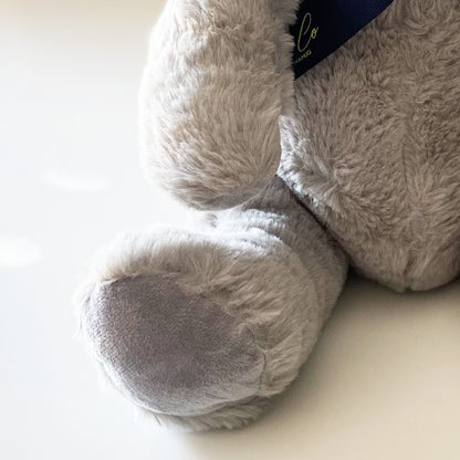 Ashes Keepsake Memory Grey Bear