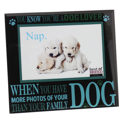 Photo Frame. 'You Know You're A Dog Lover When You Have More Photos Of...'