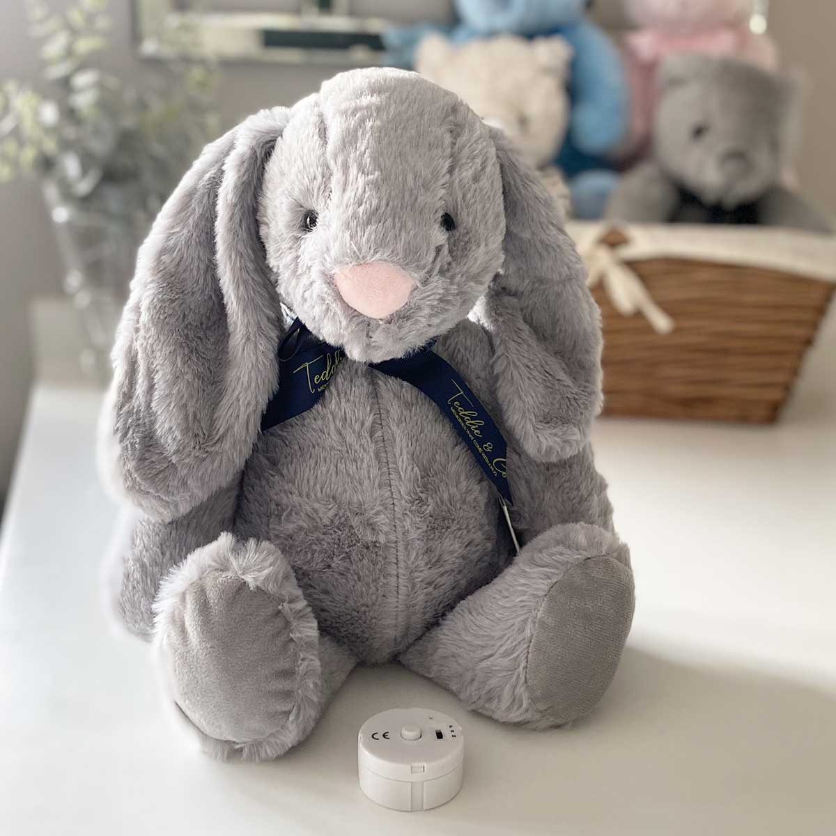 Record-A-Voice Bunny