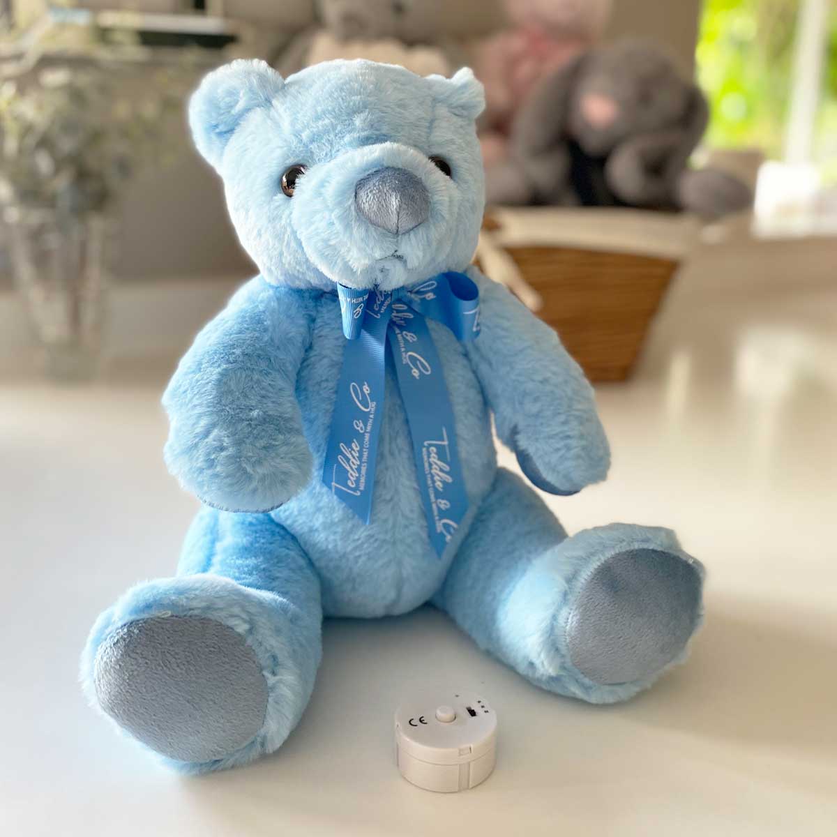 Record-A-Voice Blue Teddy Bear