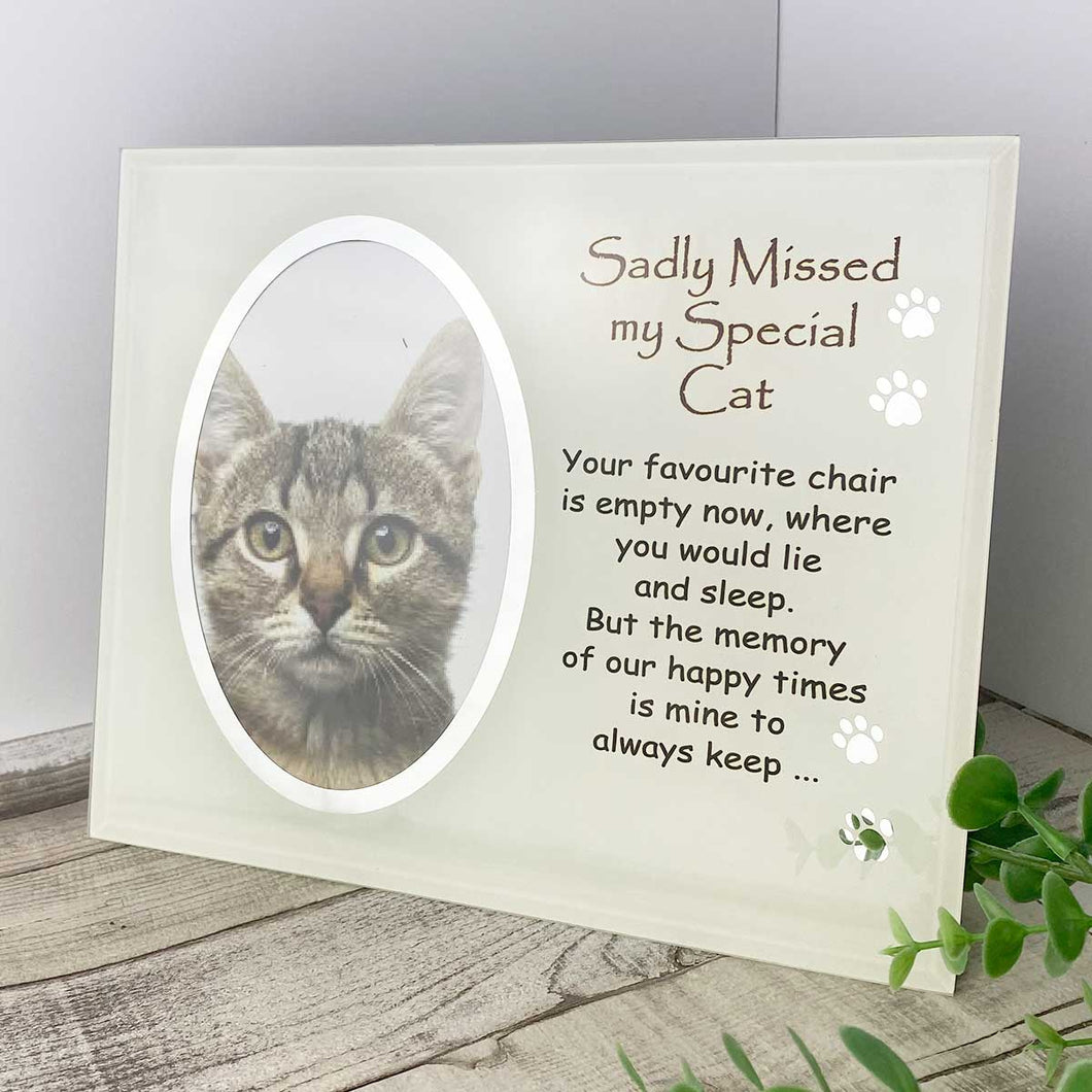 Sadly Missed my special cat memorial Glass frame