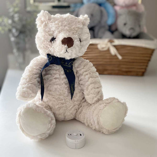 Record-A-Voice Teddy Bear