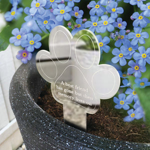 You added Paw Print Memorial Garden Plant Marker & Forget Me Not Seeds to your cart.