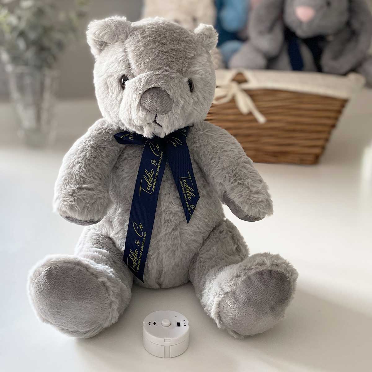 Teddy bear with voice of loved top one