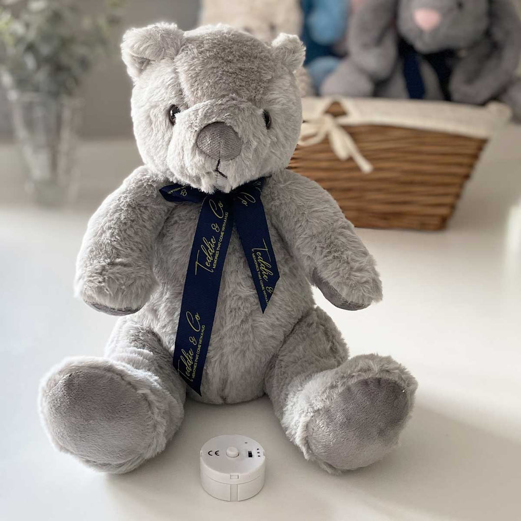 Teddy bear with 2025 loved one's voice