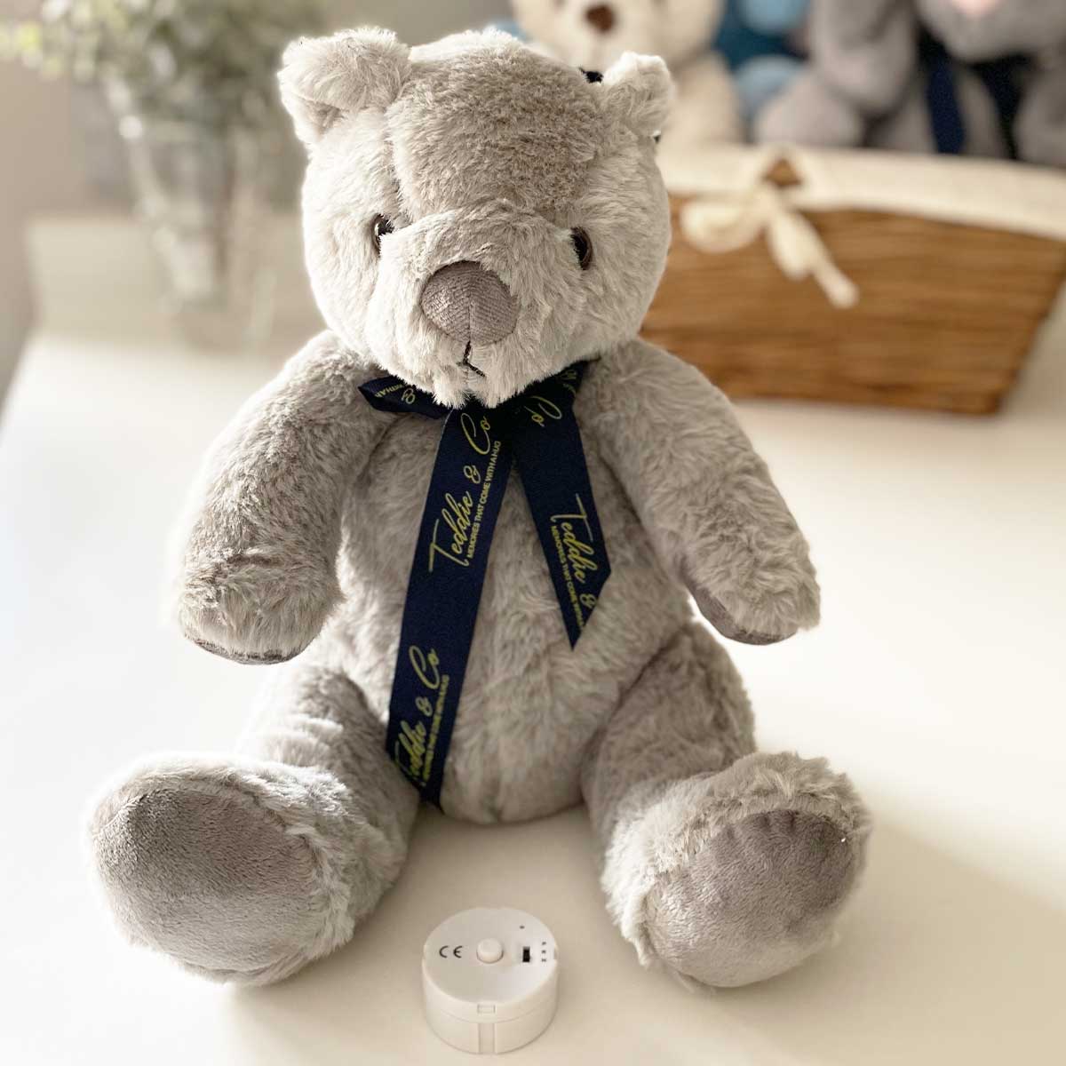 Teddy bear with voice recording of loved one hot sale