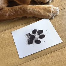 Load image into Gallery viewer, Pet Safe Non-toxic Paw Print Ink Pad Kit for Larger Paws