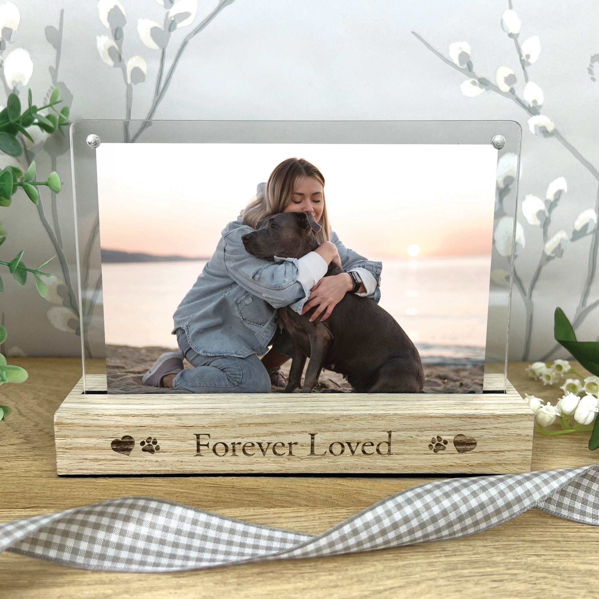 TMS Pet Memorial Trinket Box - Sleeping Angel Dog/Cat Figurine With Heart & Wings, Grave Memorial