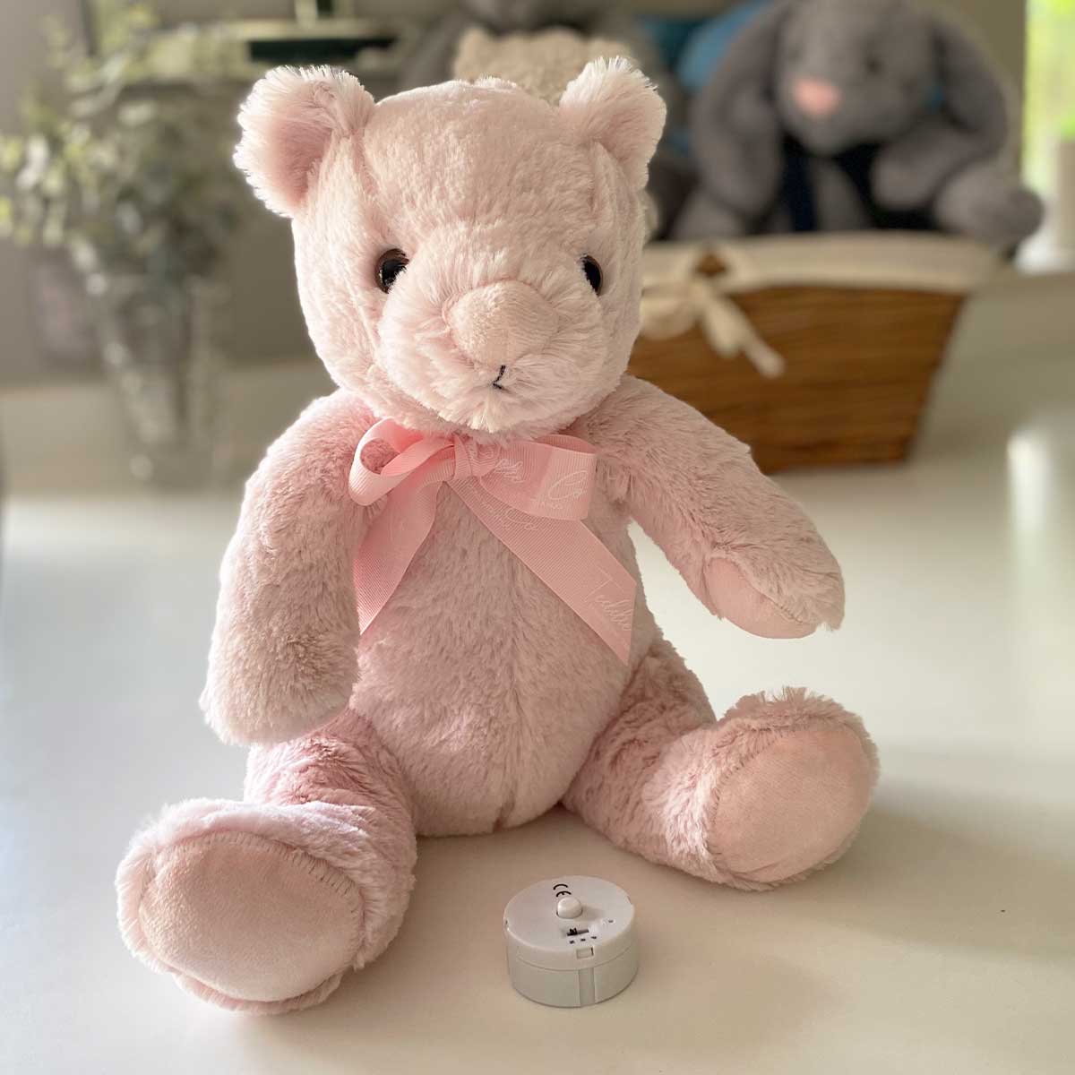 Record-A-Voice Pink Teddy Bear