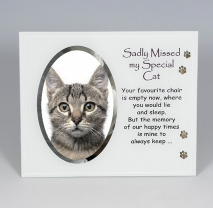 Sadly Missed my special cat memorial Glass frame