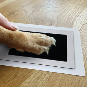 You added Pet Safe Non-toxic Paw Print Ink Pad Kit for Larger Paws to your cart.