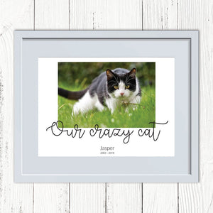 Personalised Photo Print. Pet. Your Caption And Details.